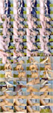 pickxxx.com